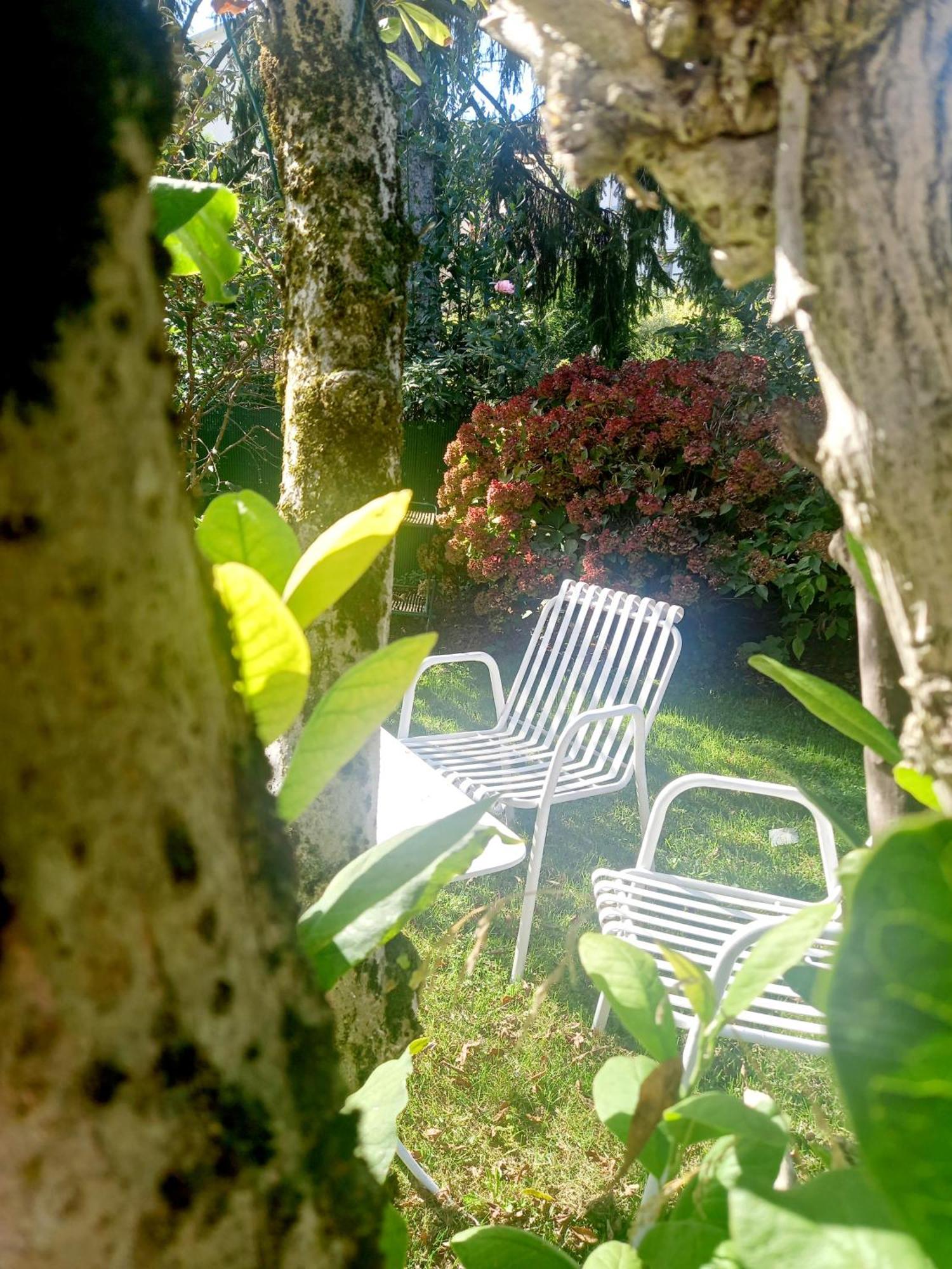 A Casa Di Dora Bed and Breakfast Treviso Buitenkant foto