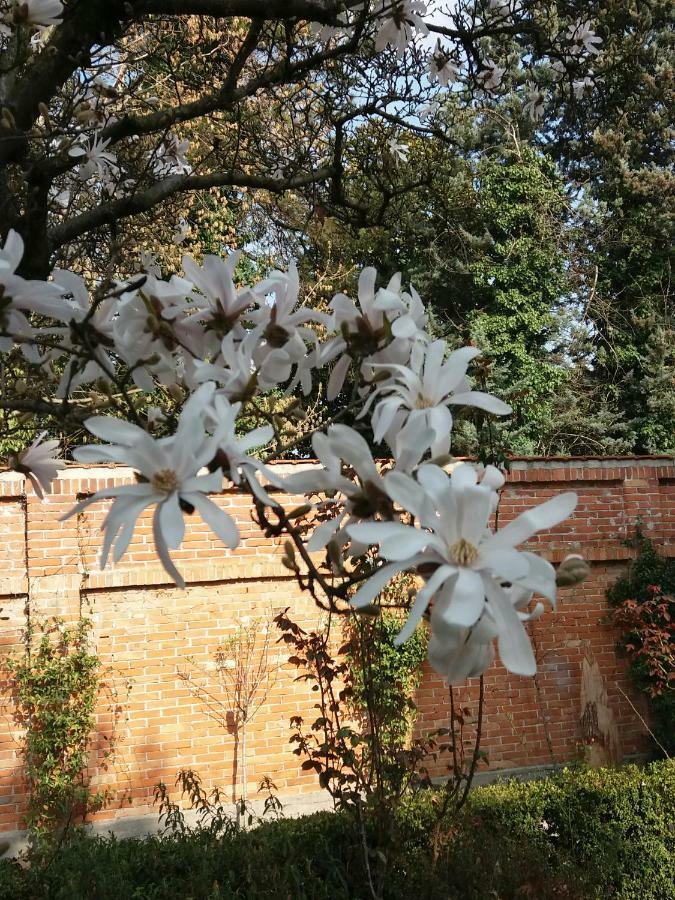 A Casa Di Dora Bed and Breakfast Treviso Buitenkant foto