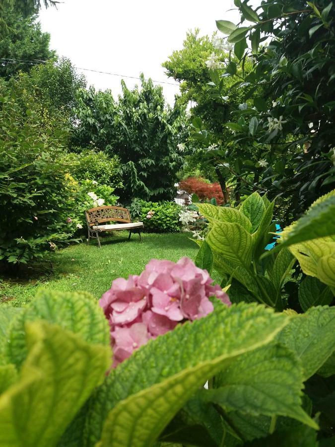 A Casa Di Dora Bed and Breakfast Treviso Buitenkant foto